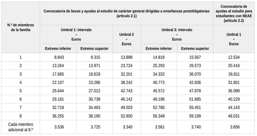 Umbrales de rentas y patrimonio para pedir las Becas MEC