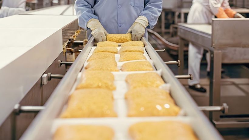 Operarios del sector de congelados