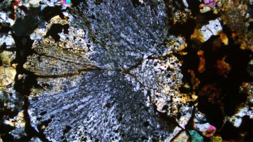 Cóndrulo radial de piroxeno formado en el meteorito Maryborough.
