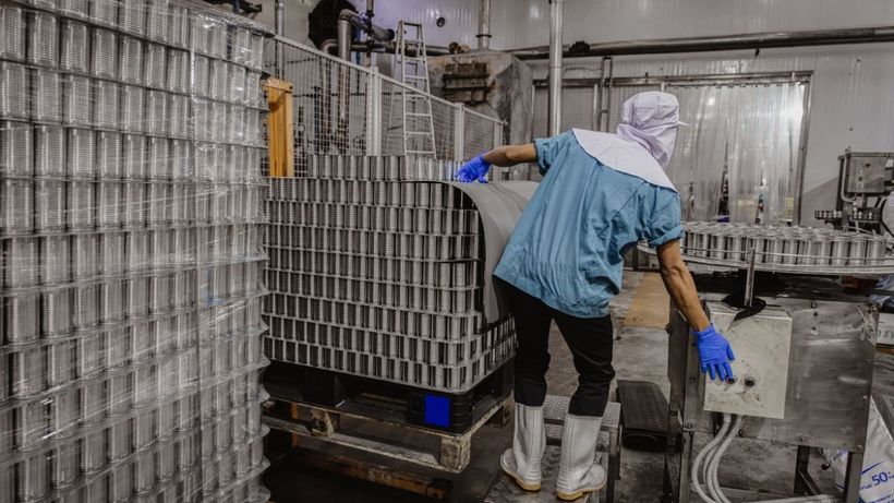 Trabajando en una conservera