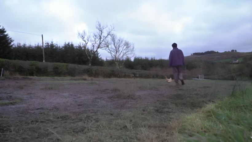 Jaime junto a una de las gallinas ponedoras. YouTube|@JaimeSargot.