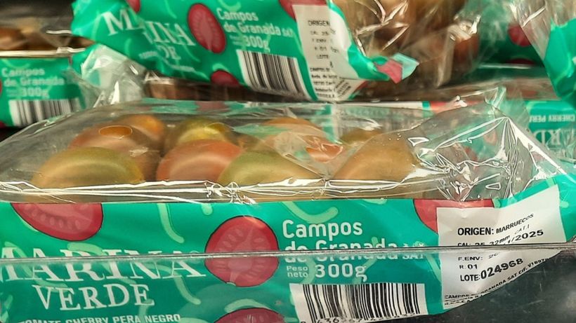 tomate marruecos