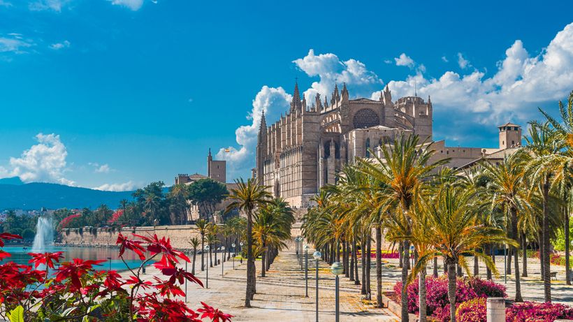 catedral la seu