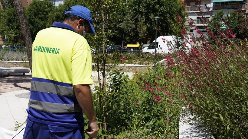 Jardinero del Ayuntamiento de Móstoles