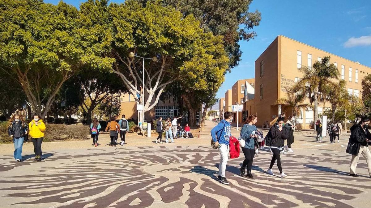 De la EBAU a la Universidad de Almería: así es la oferta de grados para el próximo curso 2024-2025