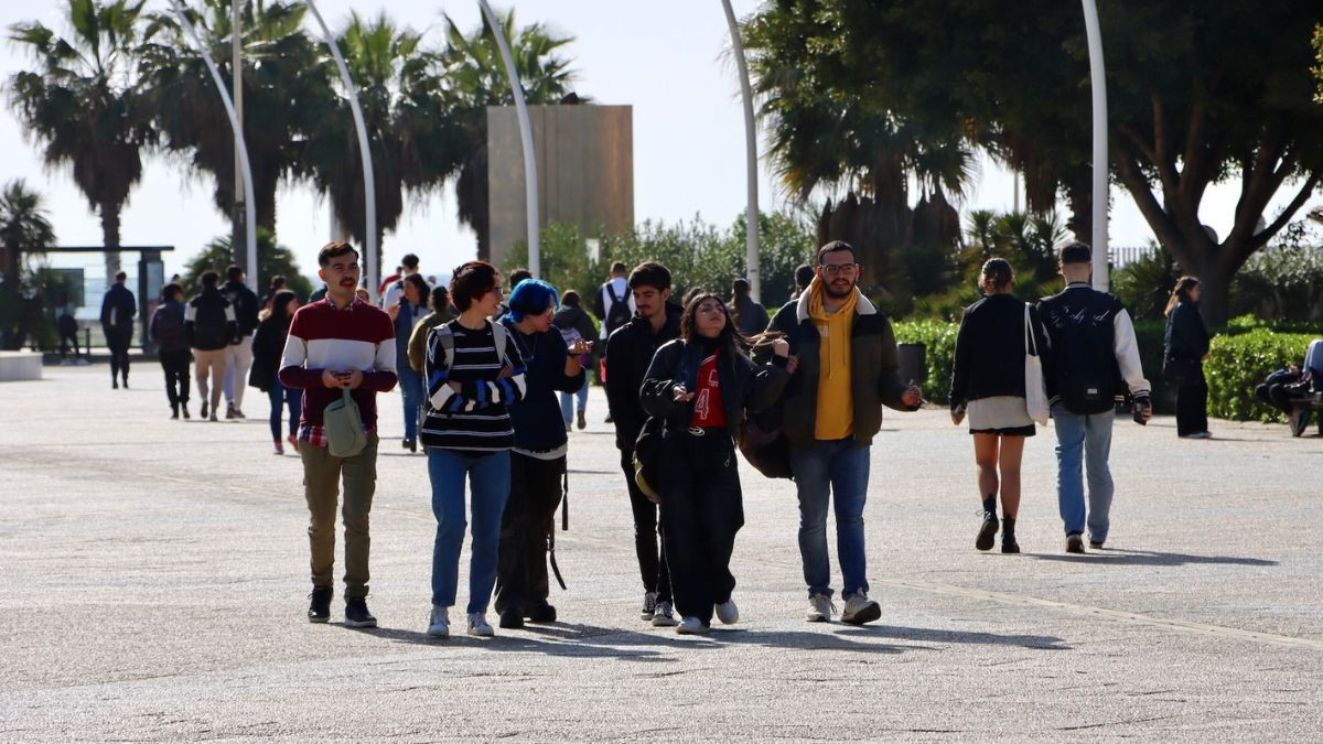 La Universidad de Almería lanza su oferta de postgrado del curso 2024/2025: una garantía para acceder al mercado laboral