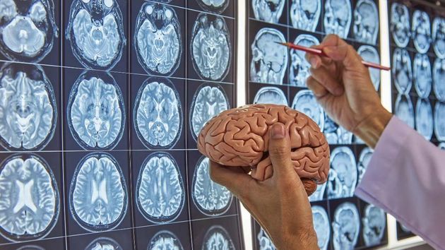 La neurociencia avisa: tenemos un hábito nocivo para nuestra salud