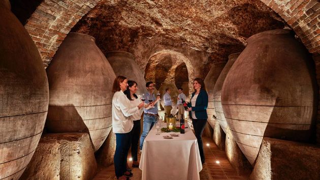 Visita guiada a 3 bodegas con cata y los billetes incluidos por solo 35 euros: así es la ruta del vino de Madrid que estrena Renfe