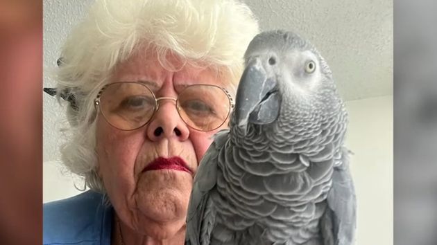 Una mujer de 81 años se queda tirada en Puerto Rico porque no le dejan subir al avión con su loro: “deshazte de tu pájaro y dáselo a alguien”