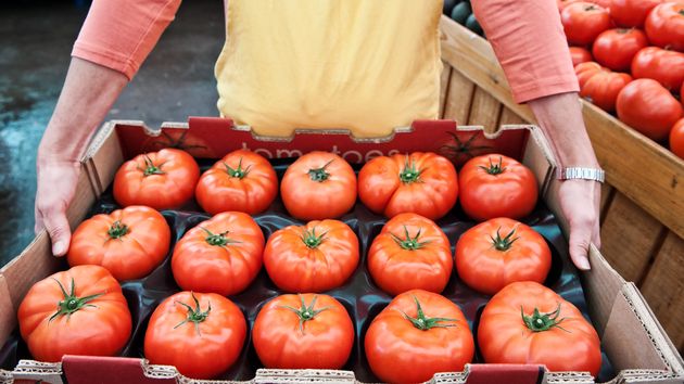 Exigen la retirada urgente de estos tomates de todos los supermercados de este país por contaminación por Salmonella