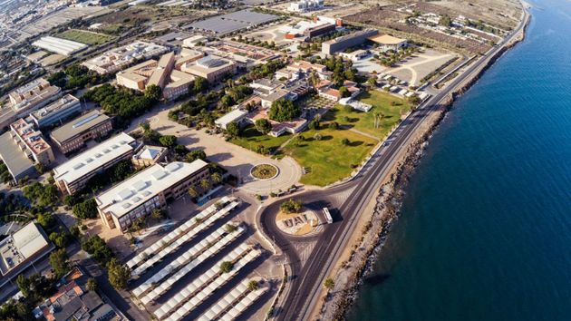 Qué estudiar en la Universidad de Almería: los nuevos grados y másteres que te abren la puerta al mercado laboral