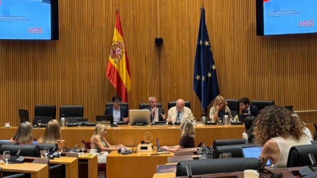 USO avisa de que la estructura empresarial española es un 'hándicap' para contar con un comité de empresa