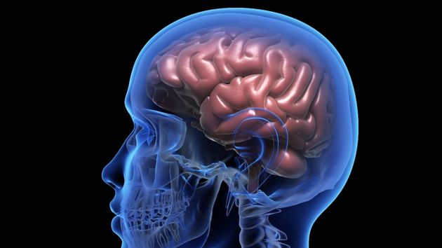 Científicos descubren cómo las 'reservas de azúcar' del cerebro alimentan el Alzheimer y cómo detenerlo