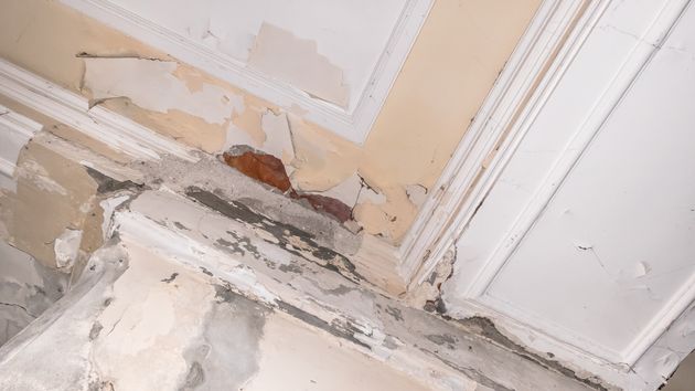 Se le cae el techo por culpa de sus vecinos que limpiaban pescado con agua a presión: ya no puede alquilar el piso y les exige 30.000 euros