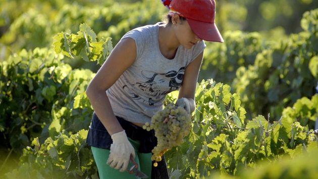 El paro baja en julio por sexto mes consecutivo con un 38% de nuevos contratos indefinidos y más jóvenes trabajando en la campaña de verano