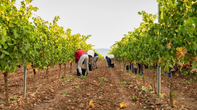 La Inspección de Trabajo es firme: multa de 225.018 euros a una empresa por no colaborar en la identificación de varios trabajadores que salieron corriendo al verlos