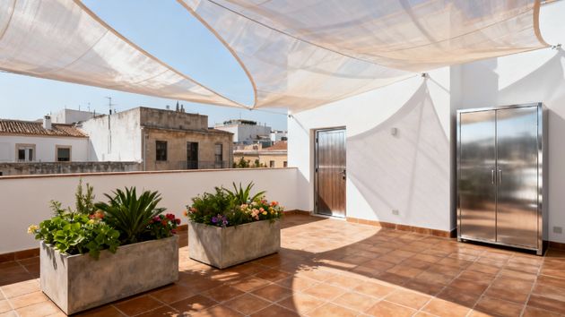 Una vecina pone un toldo, un armario y una puerta en su terraza de uso privativo sin permiso de la comunidad: tendrá que desmontarlo todo por alterar los elementos comunes