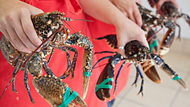 Despedida una trabajadora de supermercado que ocultó cigalas y huevas en una bolsa de mejillones que llevaba un precio de 1,65 euros: es procedente