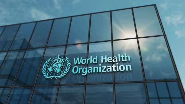 La OMS entrega un premio al narcotráfico y España corre el riesgo de caer en el mismo error