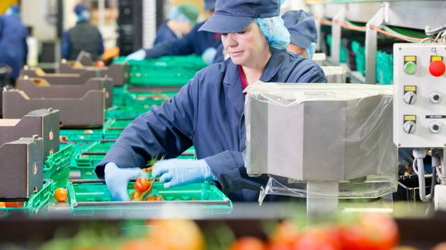 Ofertas de empleo del 11 de diciembre de 2025 en España: últimas vacantes en el sector público y privado