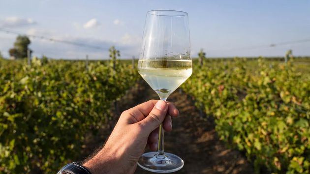 Este vino de A Coruña ha sido elegido entre los mejores de España en 2025: por solo 8,89 euros