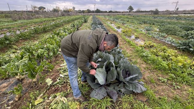 Ofertas de empleo hoy 8 de enero de 2026 en España: últimas vacantes en el sector público y privado