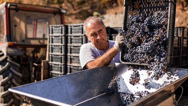 Multan a una empresa con 2.046 euros por falta de medidas de seguridad y el trabajador recibirá una indemnización de 70.554,48 euros por los daños sufridos tras explotar una prensa de vino
