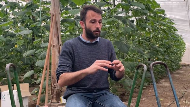 Fran Ibáñez, agricultor en Almería: "Yo he estado más contento de ver a las cabras comerse mi cosecha que de malvenderla"