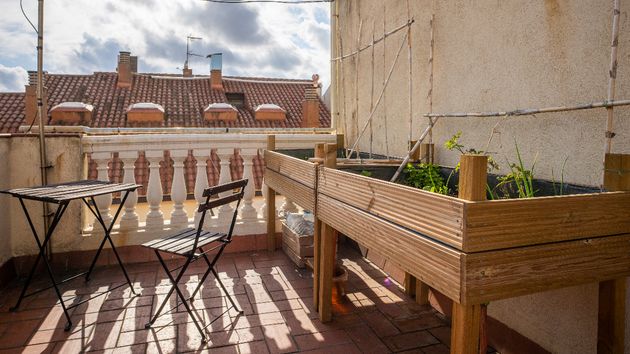 Una comunidad de vecinos demanda a un propietario por poner un huerto urbano con tomates en su terraza privativa: la justicia dice que es una actividad dañosa y ordena su retirada