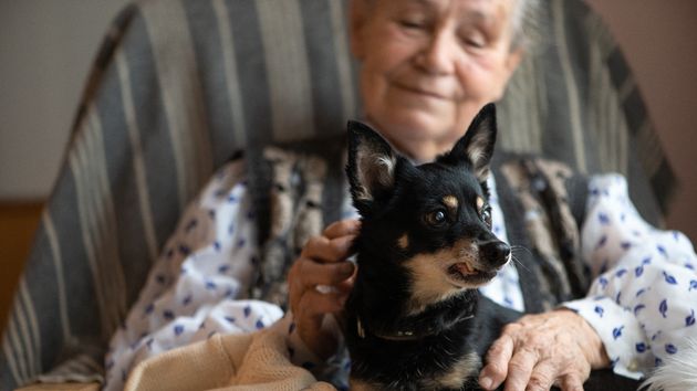 Recibe el usufructo de una vivienda como herencia, pero acaba condenado a pagar 5.800 euros por incumplir un legado: debía pagar 350 euros al mes a su hermana y cuidar a la mascota de su madre