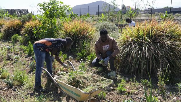 La Policía Nacional destapa a más de 70 trabajadores del campo en situación irregular en Lorca