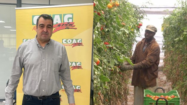 Los agricultores reclaman que la regularización de migrantes se adapte a la realidad del campo: “Las multas por contratar sin papeles pueden llegar a 60.000 euros”
