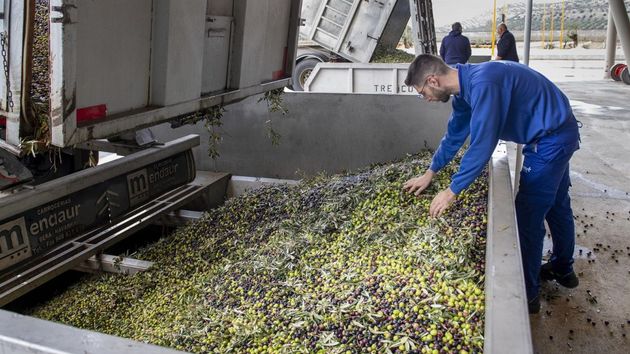 Los sectores del aceite y del vino español celebran el revés del Supremo de EE UU a los aranceles de Trump, que responde con un nuevo gravamen global del 10%