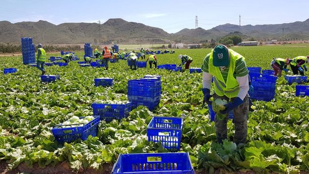 La Seguridad Social pierde más de 200.000 afiliados en el campo y el hogar desde 2018