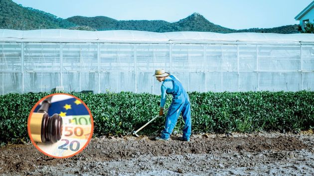Retiran 27.000 euros de la PAC y multan con 14.593 euros a una agricultora por arrendar tierras a una empresa sin permiso de los dueños: el TSJ avala que no había "apariencia de veracidad" en los contratos