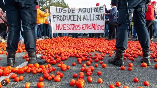 Denuncian ocultismo de la Comisión Europea sobre las importaciones de tomate marroquí