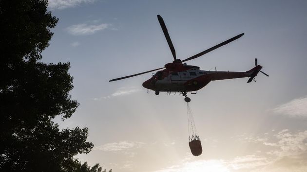 CSIF reclama que la Ley de Enjuiciamiento Criminal reconozca a los agentes forestales como Policía Judicial