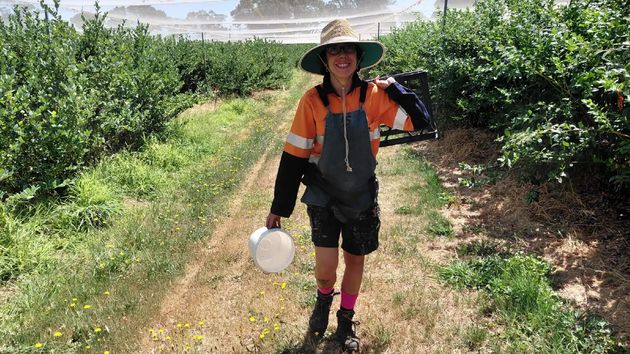 Nerea, temporera española en Australia: “He ganado 2.078 euros netos por 5 semanas doblando el lomo bajo el sol. Económicamente no merece la pena”