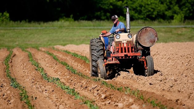 Cesta de la compra más cara: los agricultores avisan de que la subida del gasóleo agrícola afectará al precio final de los alimentos