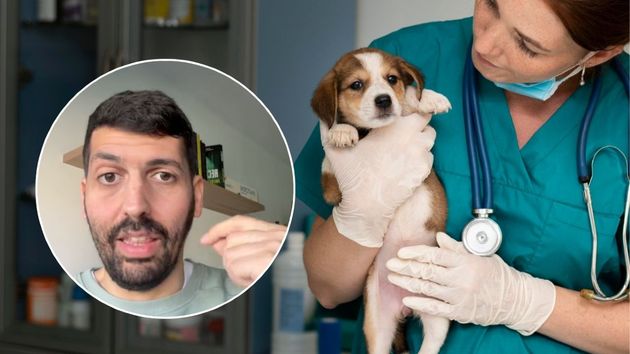 José Ramón López, experto fiscal: "Todo el mundo a pedir facturas al veterinario, si tienes mascota ya puedes deducir estos gastos en la Renta"