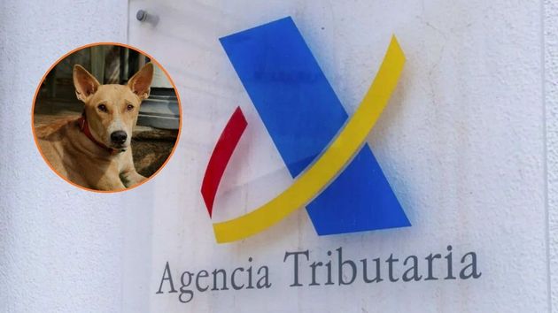 Hacienda confirma una deducción de 100 euros por tener un perro en esta comunidad autónoma