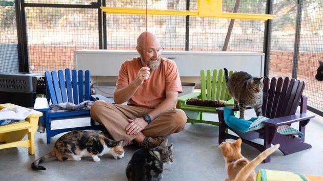 Un jubilado usa los materiales que le sobraron de una reforma para crear muebles a gatos abandonados: “me alegra el corazón”