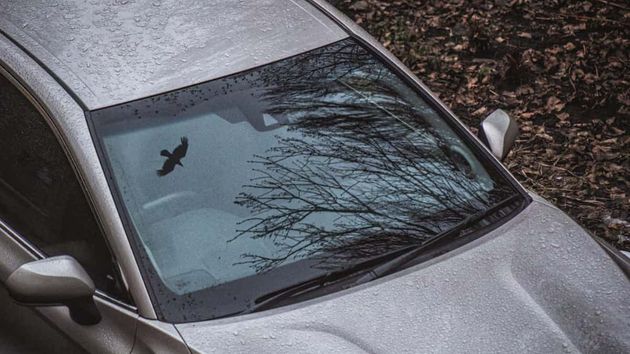 Para qué sirven los puntos negros que rodean el parabrisas del coche y por qué arrancarlos puede costar la garantía del cristal