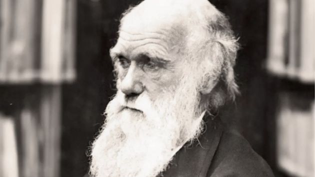 Charles Darwin, naturalista: "Un hombre que se atreve a desperdiciar una hora de tiempo no ha descubierto el valor de la vida"