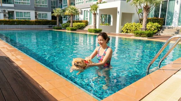 Los administradores de fincas advierten: los perros no pueden bañarse en las piscinas de las comunidades de vecinos