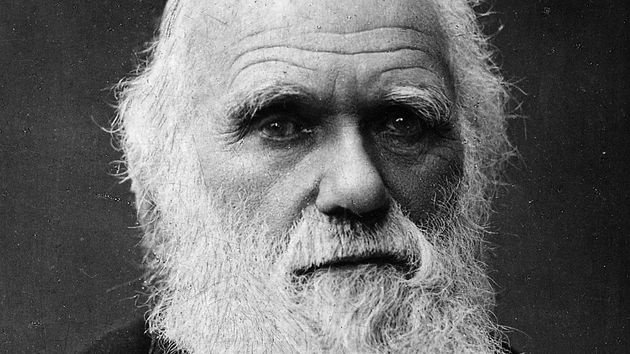 Charles Darwin, naturalista: "Un hombre que se atreve a desperdiciar una hora de su tiempo no ha descubierto el valor de la vida"