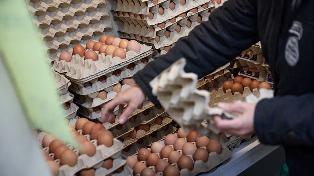 El precio de los huevos desde hoy en los principales supermercados: Mercadona, Lidl, Carrefour