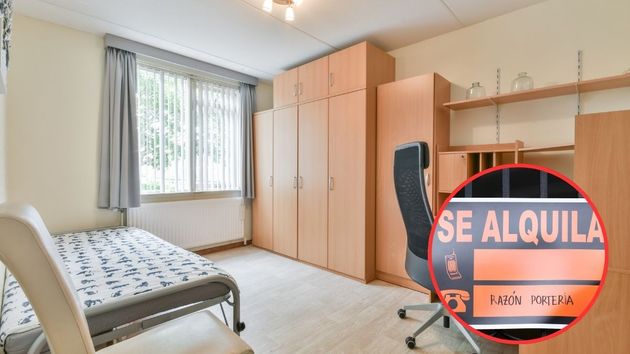 Confirmado por la justicia: alquilar una habitación también puede considerarse vivienda habitual y obliga a aplicar la prórroga del alquiler a 5 años