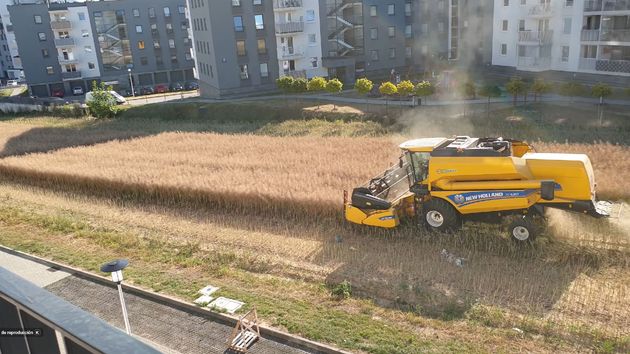 Un agricultor se niega a vender su terreno y ahora cosecha cereal rodeado de edificios y carreteras