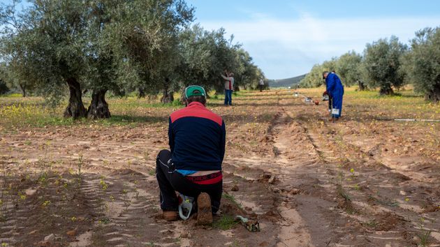 Confirmado por la ley: estos agricultores están exentos de pagar impuestos por heredar o comprar una finca o explotación agraria